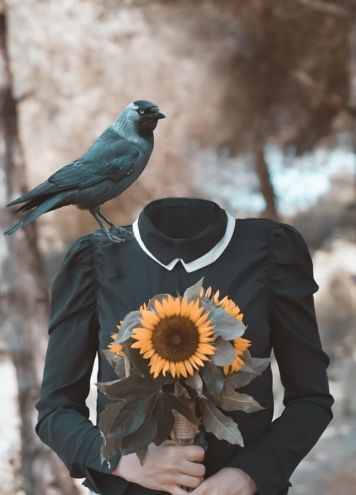 &lt;p&gt;&lt;strong&gt;Heim-EM der Handball-Frauen: Schwazerin Fine Hanfland tritt auf&lt;/strong&gt;&lt;/p&gt;