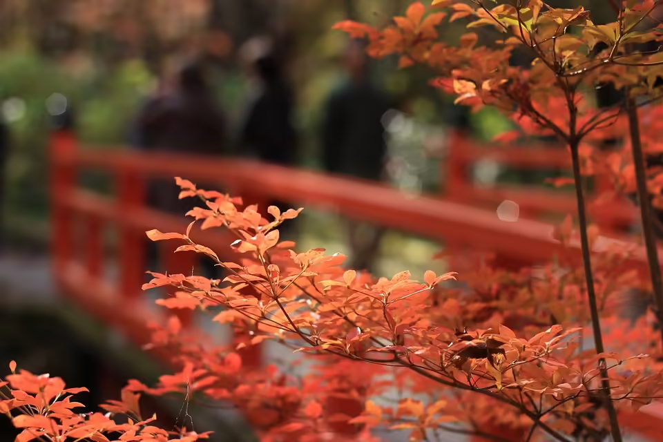 Herbstliche Entdeckungsreise: Deutschlands Top 10 Attraktionen im Ranking