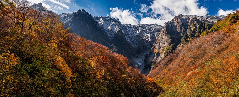 Herbstliche Erntekulturen im Burgenland - Ein Blick hinter die Kulissen