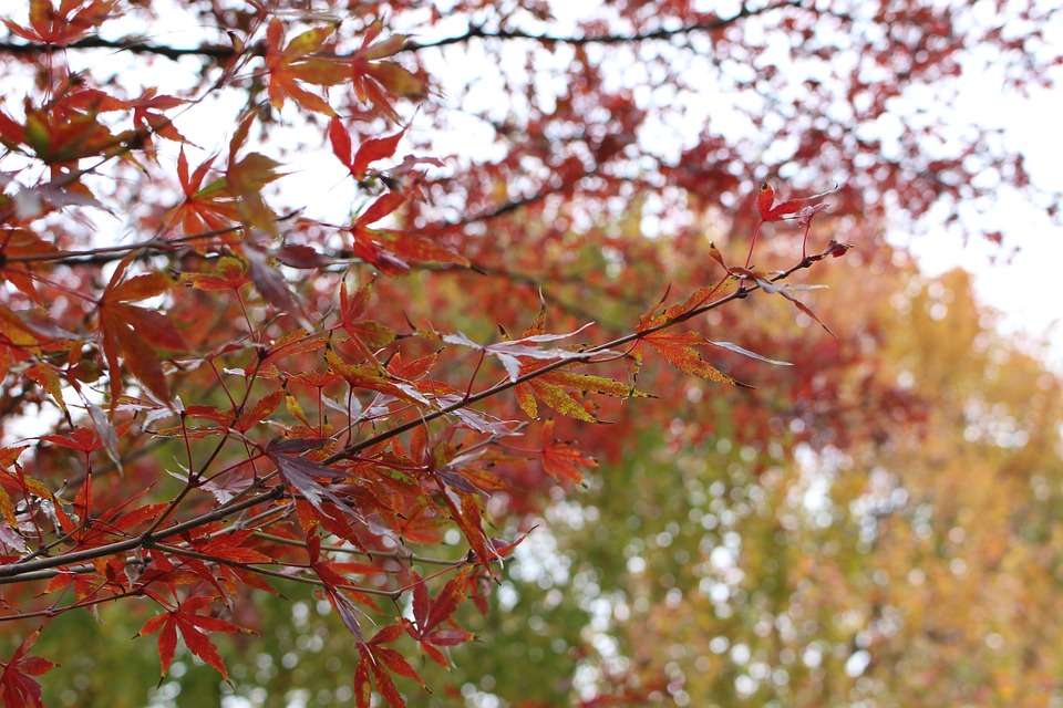 Herbstliche Gemeinschaftsveranstaltungen im Treffpunkt mensch &amp; arbeit
