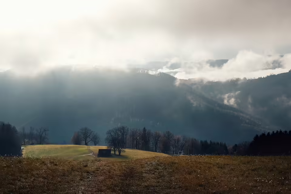 Herbstliche Gemütlichkeit: So gestalten Sie Ihr Zuhause stilvoll