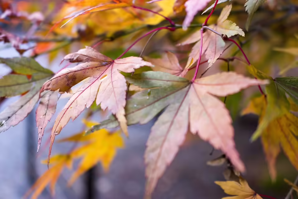 Herbstliche Wohlfühlmomente im TAUERN SPA Zell am See-Kaprun