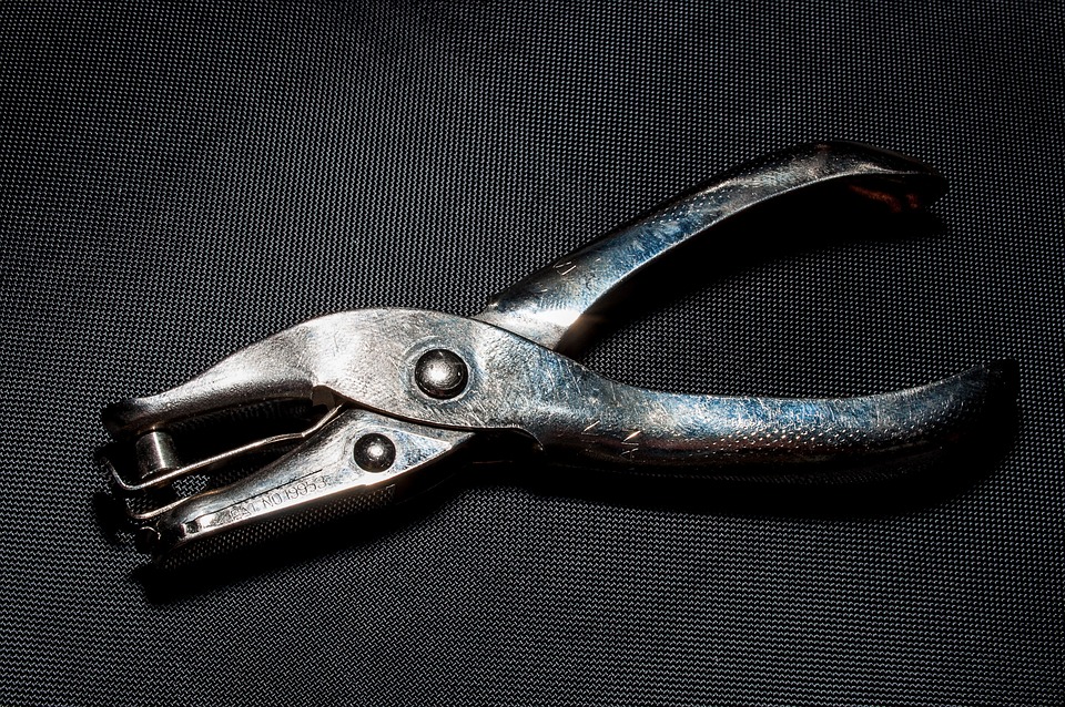 Herzensbrecher aus Lochen: Masha, Reini, Chase und Indi suchen ein Zuhause