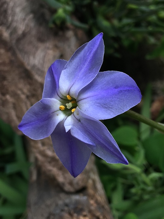 Himmlische Klänge:  The Christmas Gospel  begeistert in Krems