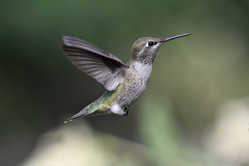 Hortkinder von St. Anna setzen sich für benachteiligte Kinder ein