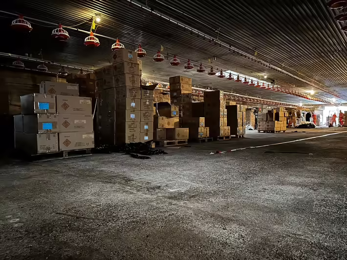 Illegales Feuerwerk im Emsland: Polizei sichert Millionenwert!