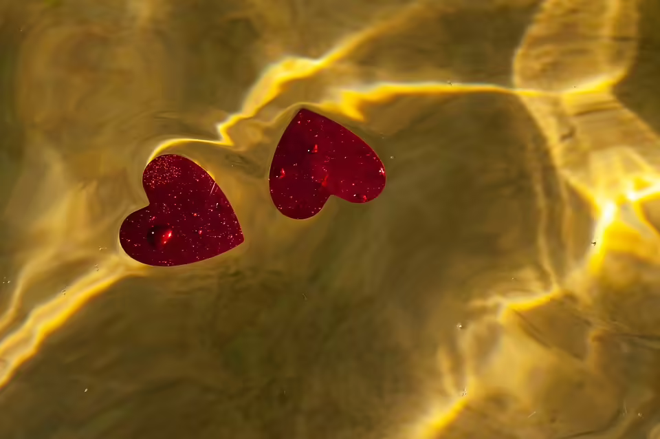 Im Herzen der Palliativversorgung: Das Team des Landesklinikum Hollabrunn