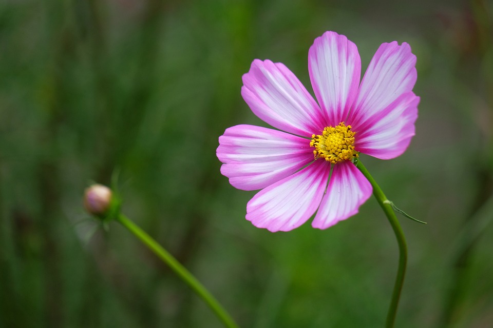 Im Mölltal: Betrüger mit gefälschtem Ausweis erbeutet Tausende Euro