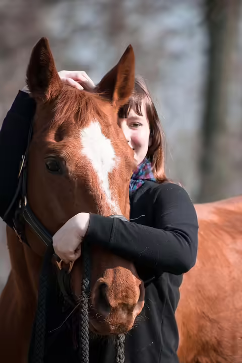 Innsbruck startet  TEAM MOBIL fürs Kind : Unterstützung für Familien im Kindergarten