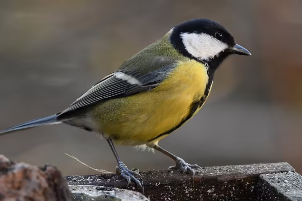 Jägerschicksal: Leiche des flüchtigen Doppelmörders in Österreich entdeckt