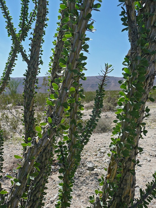 Jakob Reiter: Cyclocross-Star mit Landesmeistertitel in Gunskirchen