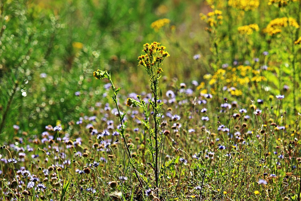 Jakob Reiter: Steirischer Rad-Profi festigt seine Gesamtführung