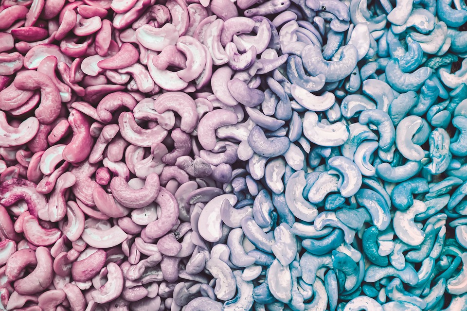 Judith Pühringer: Neue Ansätze für gemischte Schulen in Wien