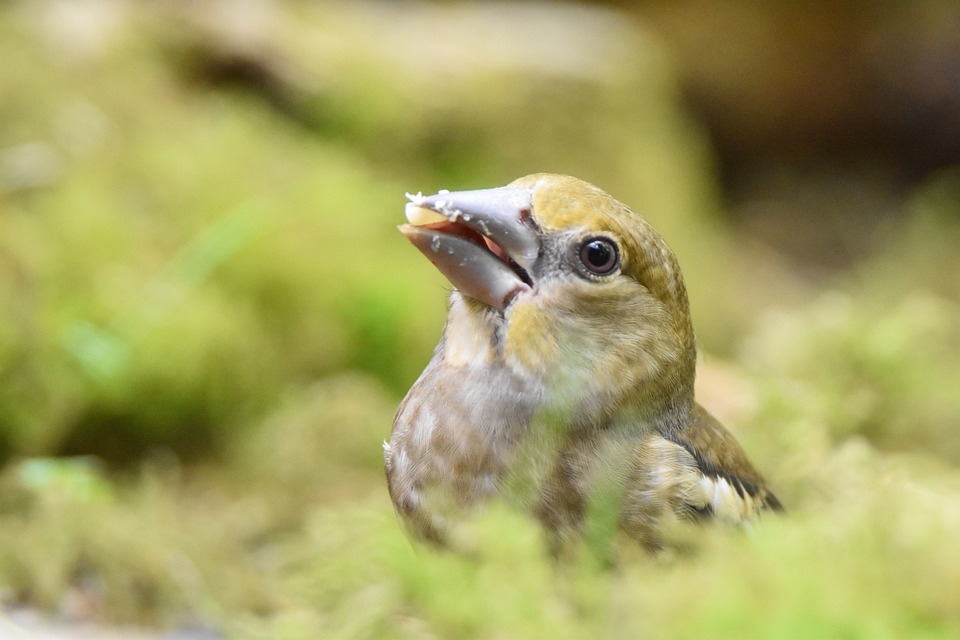 Jugendliche fordern einen Wandel: Eindrücke von der Klimakonferenz in Eisenstadt