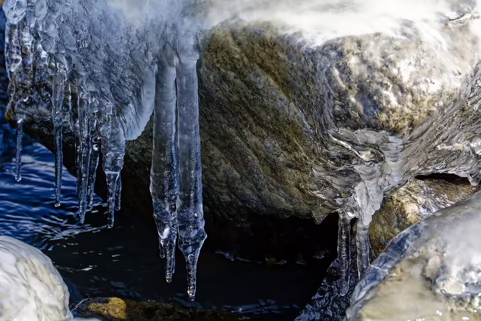 Jungautoren begeistern beim Lesungsabend in Zell am See