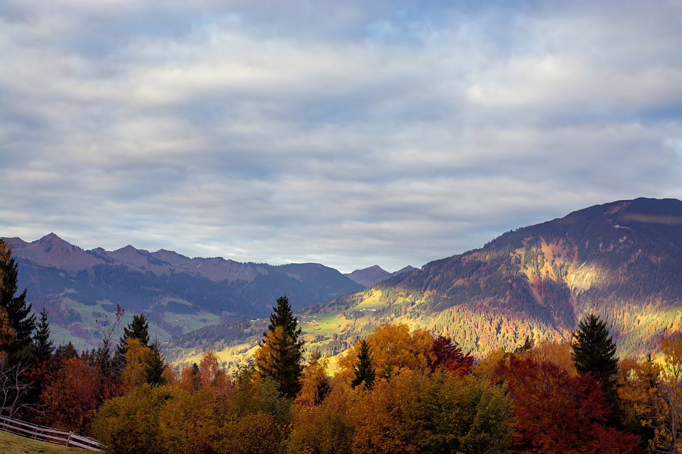 Junge Bürgermeister in Vorarlberg: Auf der Suche nach frischen Ideen