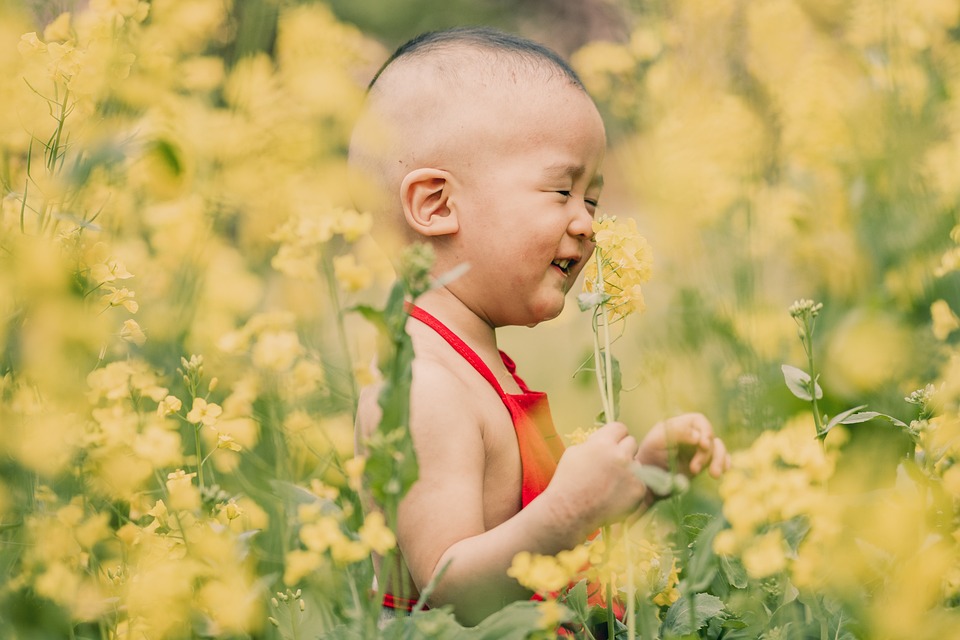 Junge Frauen brechen Barrieren: HTL-Mentoring-Programm in Grieskirchen