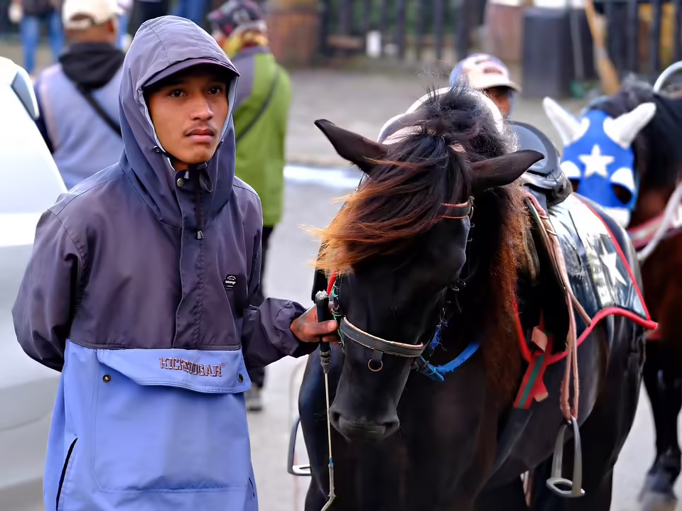 Junger Koch aus Ansfelden: Raphael Poik feiert Erfolg bei Junior-Skills