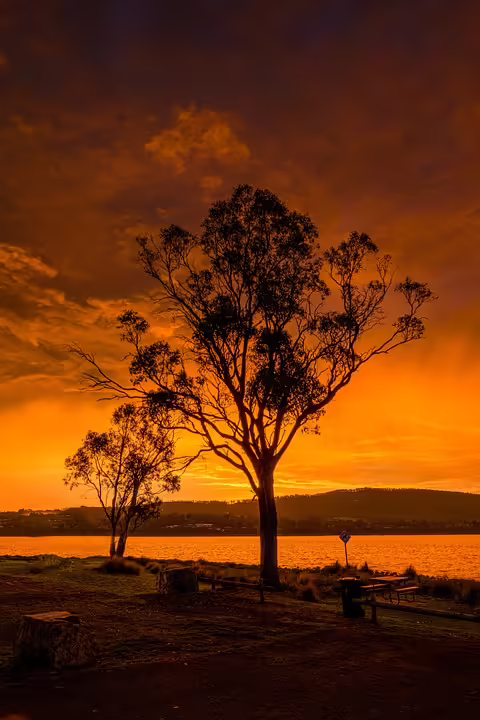 KAC-Fans zeigen Herz: 500 Euro für junge Obdachlose