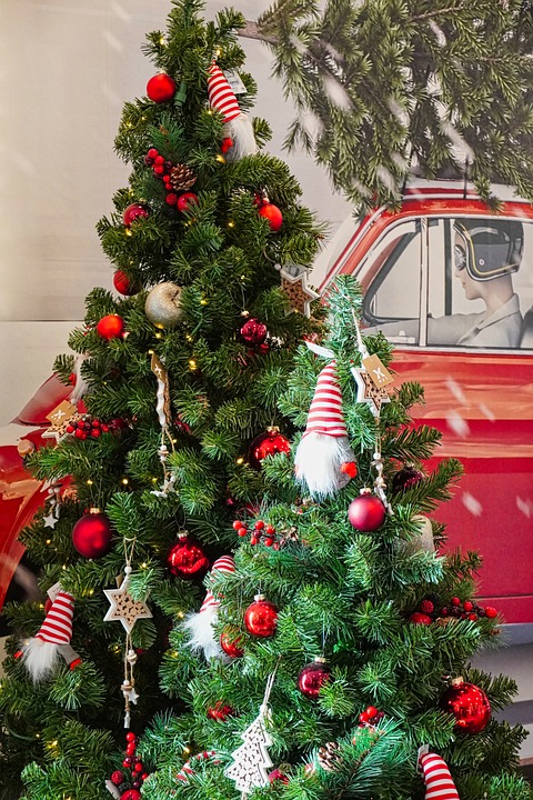 Kärntner Möbelhaus im Wandel: Überleben in stürmischen Zeiten