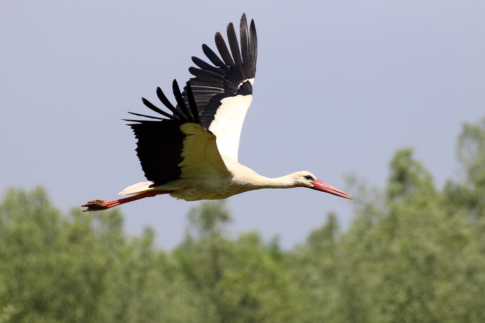 Kinder aufgepasst: Hotzenplotz fliegt zum Mond – Theaterpremiere in Pettenbach!