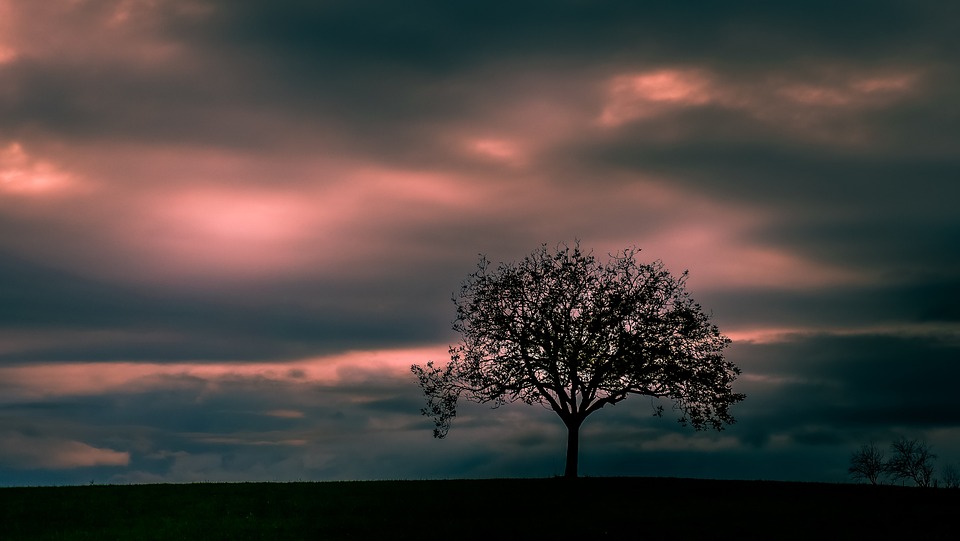 Klavierquintett im Beethoven-Haus: Ein Abend voll hochromantischer Klänge