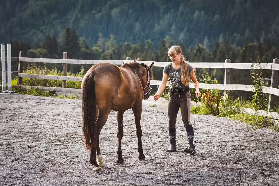 Kleinbusunfall bei Zuckerrüben-Ernte: Fahrer schwer verletzt