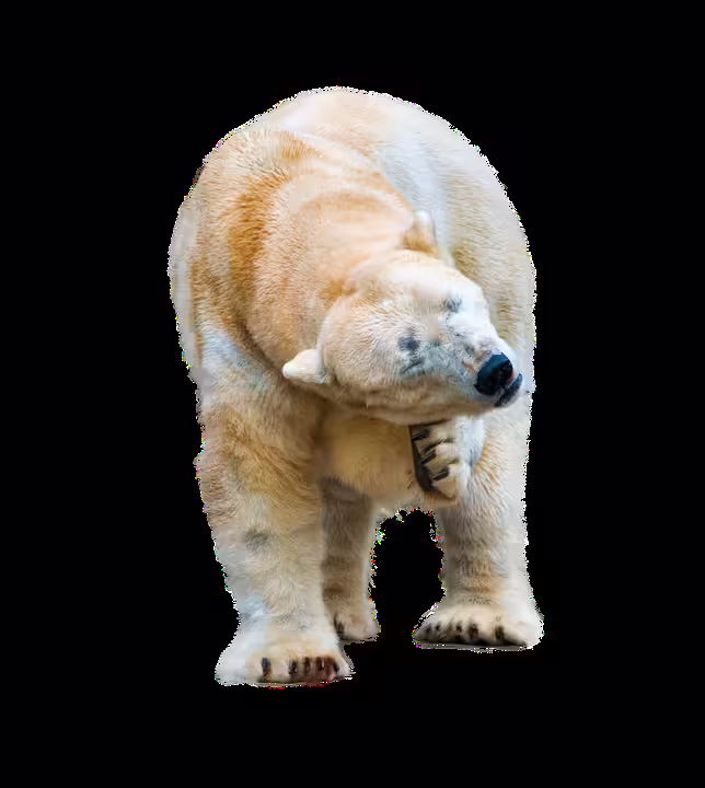 Klimaschutz zu Hause: Vortrag zur Effizienz in Kremsmünster