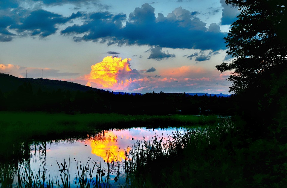 Klimawandel entschlüsseln: Workshop im Hollabrunner Regionenshop