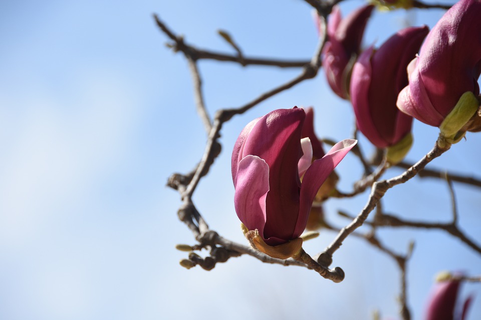 Kommunikationsfallen: Die 5 häufigsten Fehler beim Online-Dating