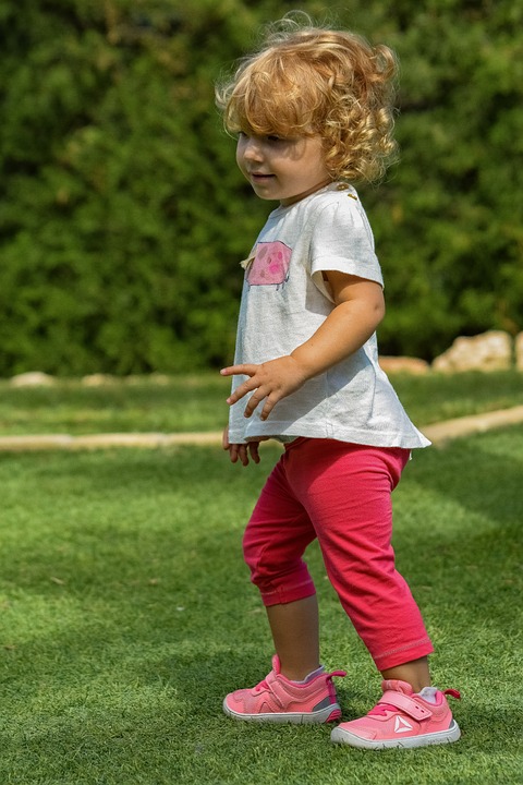 Korneuburg feiert: Erster Weinmarkt krönt den Stadtwein im Rathaus