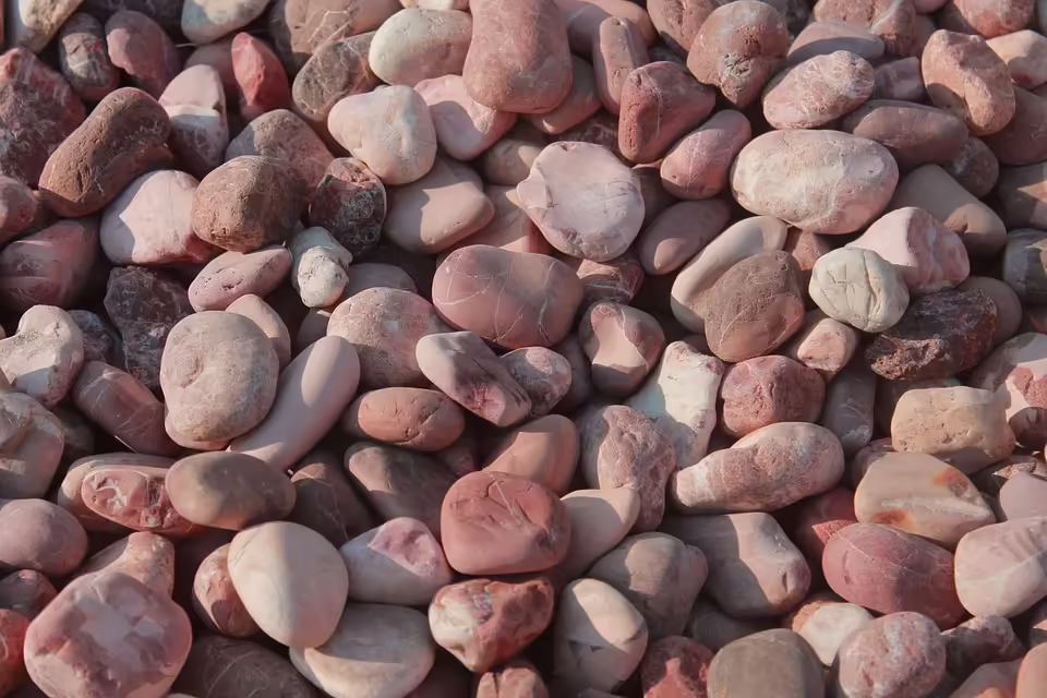 Kostenlose Beratungen für Sehbeeinträchtigte: Termine in Wr. Neustadt