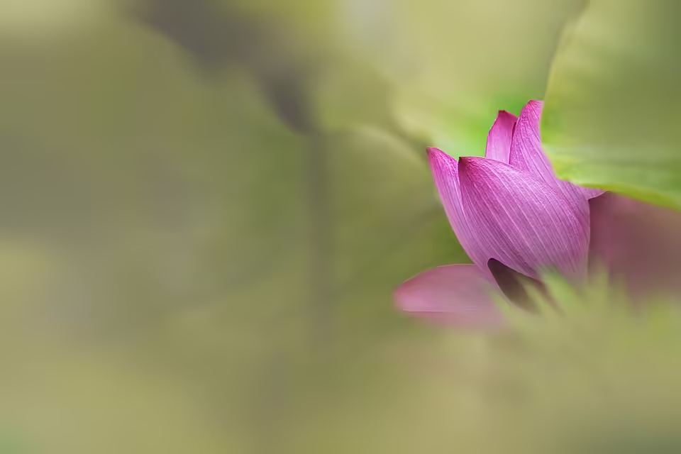 Kostenlose Workshops für Senioren: Sicher online im Wiener 22!