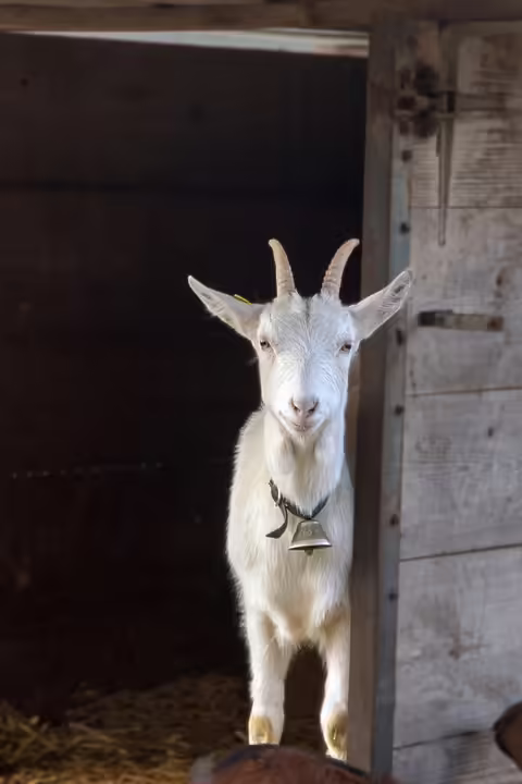 Kranzniederlegung in Horn: Erinnerung an unsere Verstorbenen