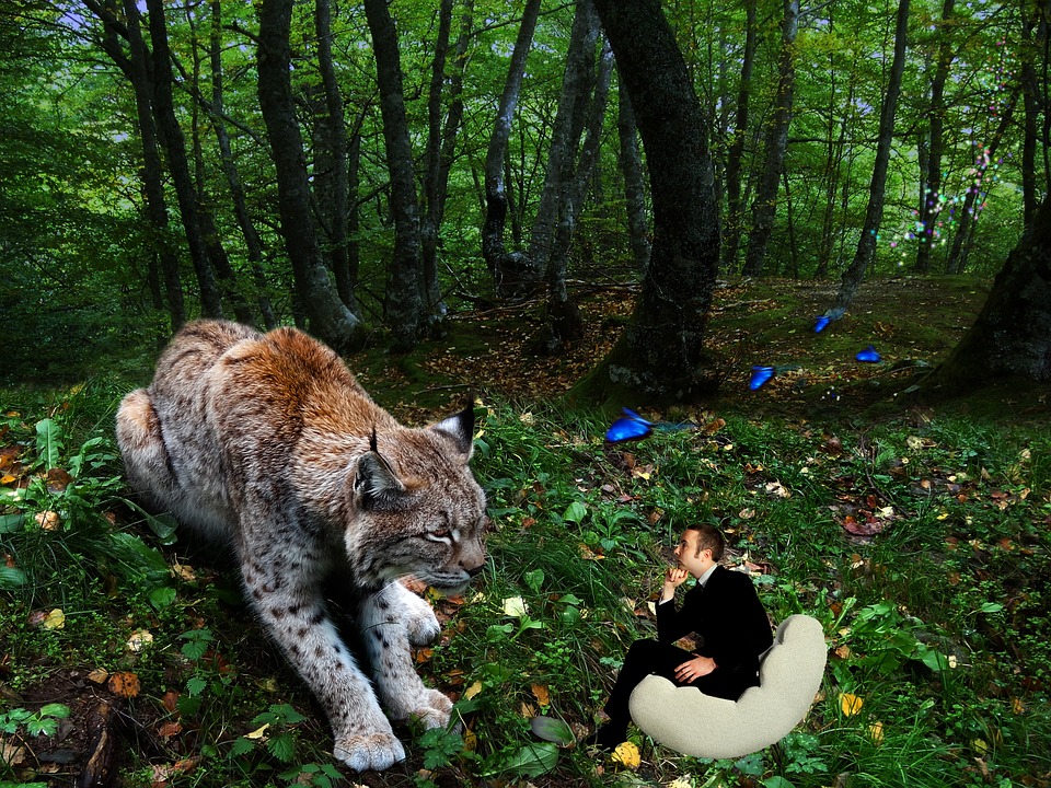 Kreative Wände: Gymnasiasten in Alterlaa begeistern mit Tape Art