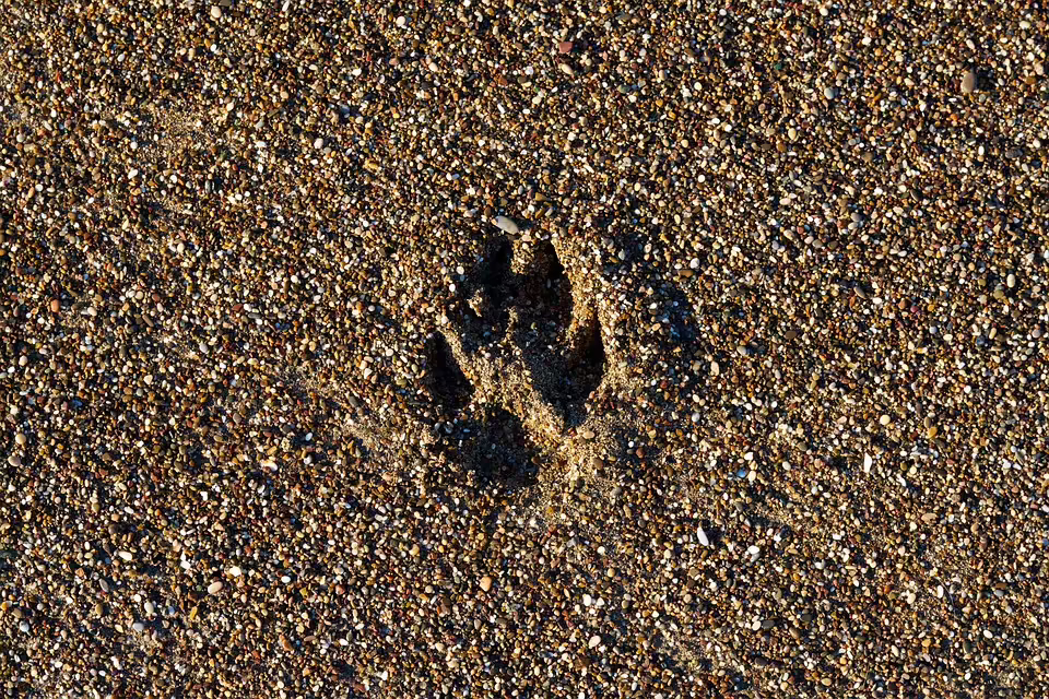 Kürzungen im Sozialbereich: Halleiner SPÖ warnt vor Folgen für Pflege