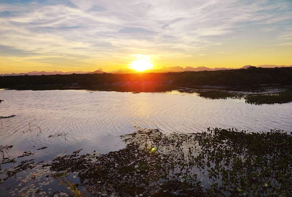 LFS Hollabrunn: Wegbereiter für eine innovative Schulzukunft