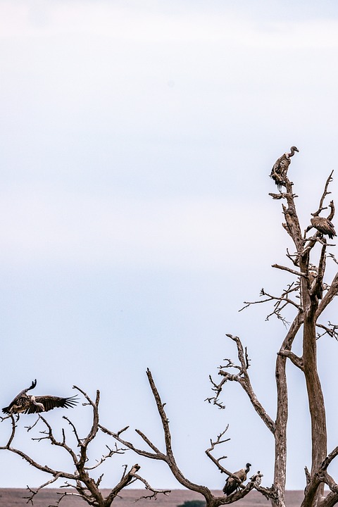 Landjugend Bezirk Braunau gewinnt Award für internationales Projekt