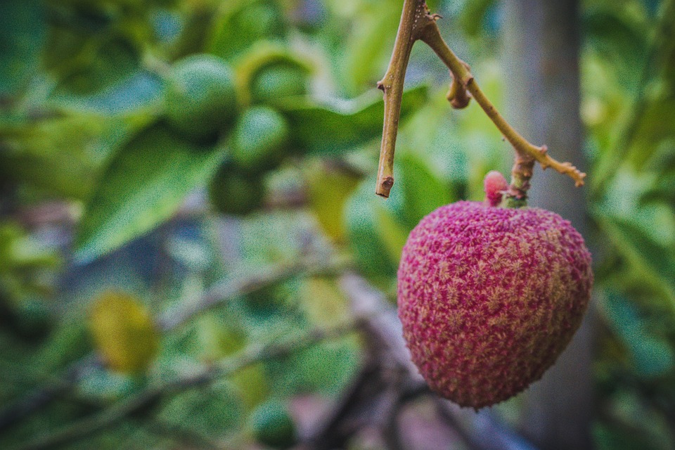 Landtagswahl 2024: Ergebnisse und Kandidaten im Bezirk Weiz