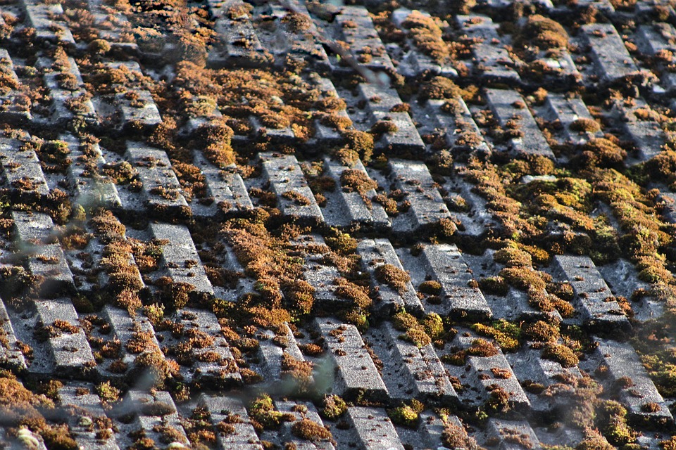 Landtagswahl in der Steiermark: Ergebnisse und Kandidaten im Überblick