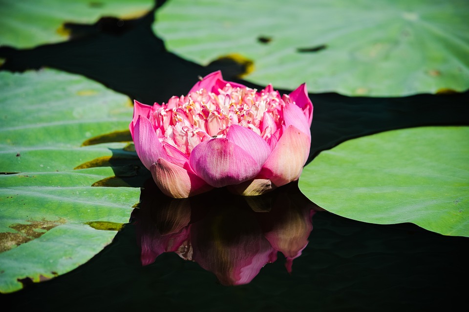 Lehrstellenboom im Bezirk Freistadt: 732 Jugendliche starten durch!