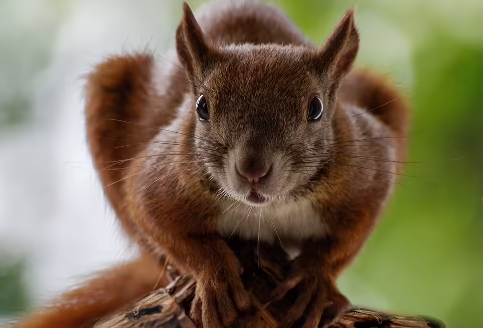 Leopolds Neues: Ein Blick auf kulturelle Highlights in der Leopoldstadt