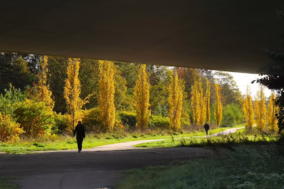 Linzer Osttangente: Schlüsselprojekt für Verkehrsberuhigung bis 2030