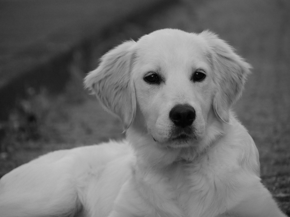 Magische Krippenkunst: Richard Scherrers Ausstellung im LKH Feldkirch