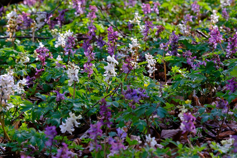 Markus Lerch wird neuer Bezirkshauptmann von Spittal an der Drau