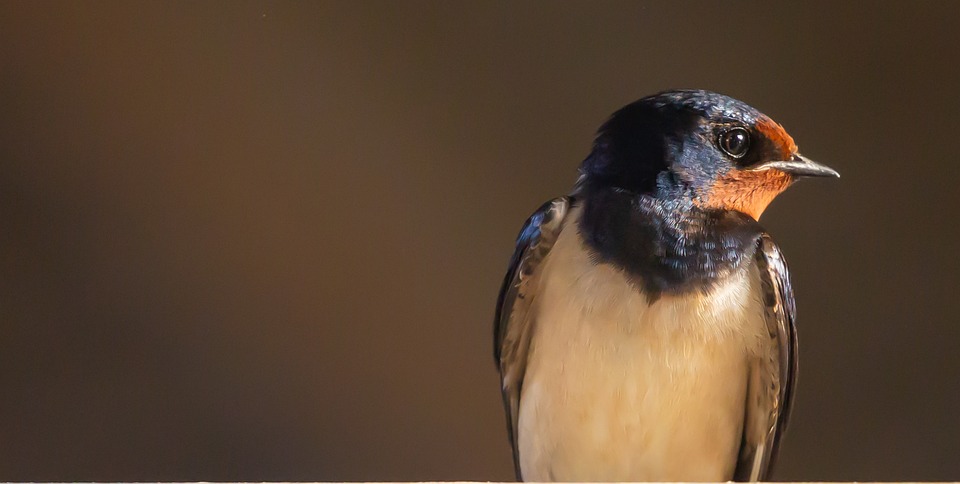 Martin Palz wird neuer Weinbauchef: Ein Gewinn für die Steiermark