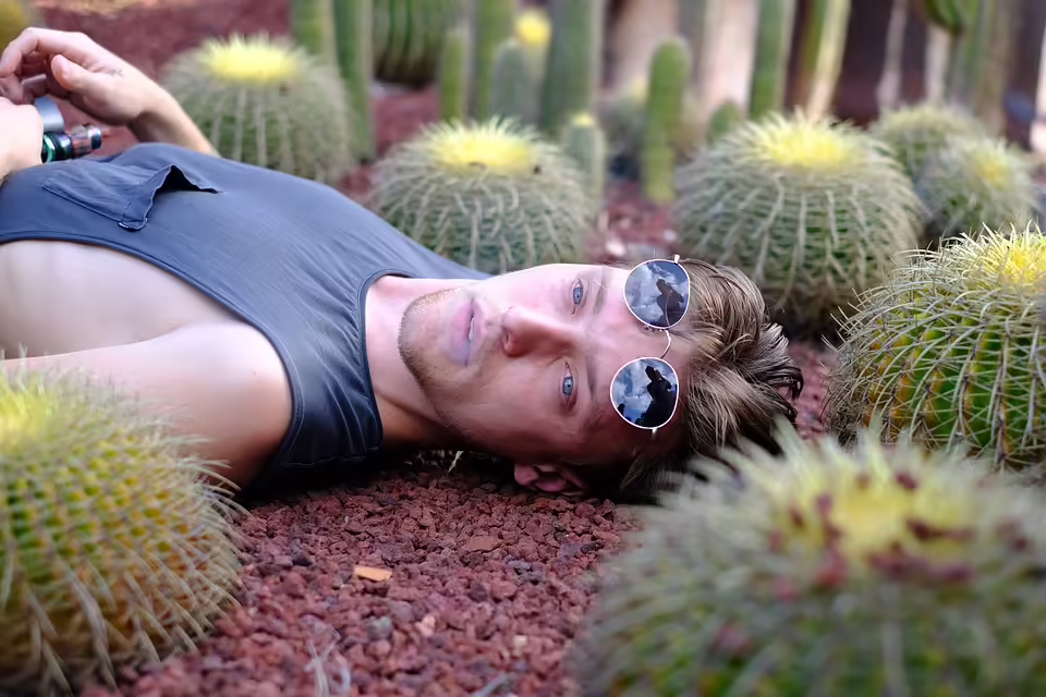 Martiniloben in Purbach: Jungwein und pannonische Schmankerln genießen