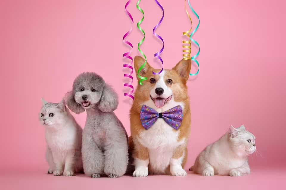 Massenschlägerei in Neunkirchen: Polizei bei Feier im Einsatz