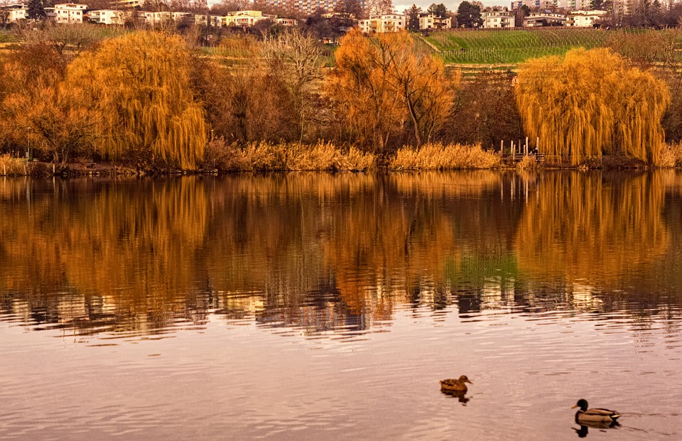 Max Dudler: Pionier der Raumgestaltung und Bibliotheksarchitektur
