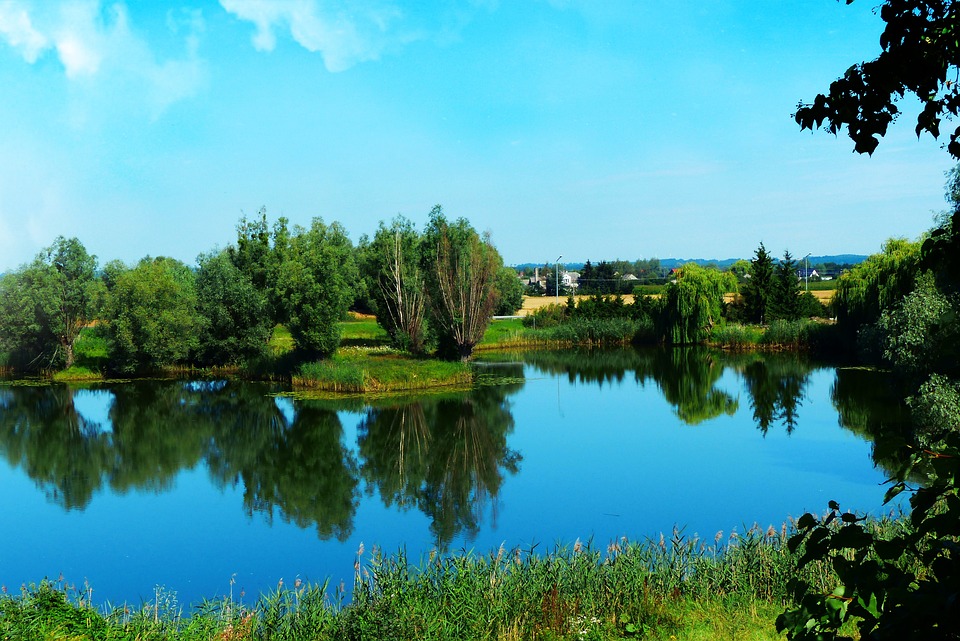 Michael Gaismair: Rebell und Visionär der Tiroler Bauern